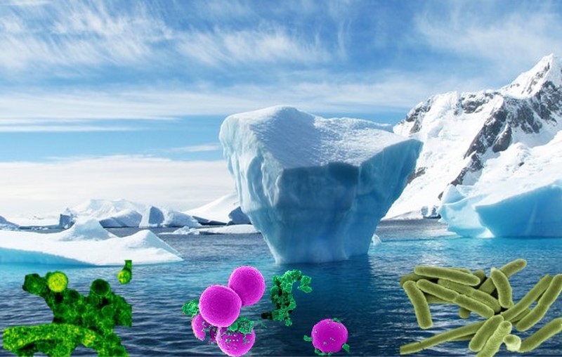 Deshielo polar que libera cantidad de virus bacterias patogenos por nuestra incosciencia con respecto al cambio climatico