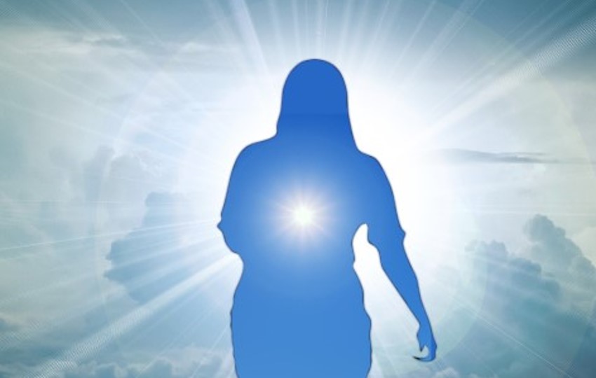 La solucion a la devastacion de la raza es nuestro despertar la consciencia y eliminacion de nuestro ego